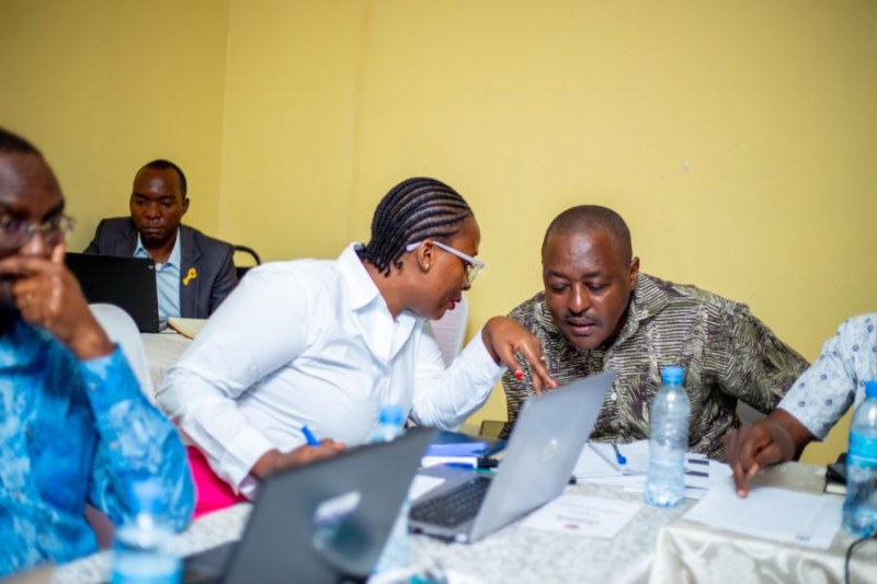 Team review of draft findings, Dar es Salaam, 2025